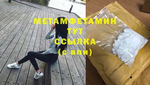 прущие грибы Осинники