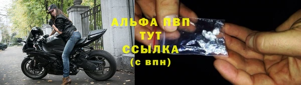 PSILOCYBIN Губаха