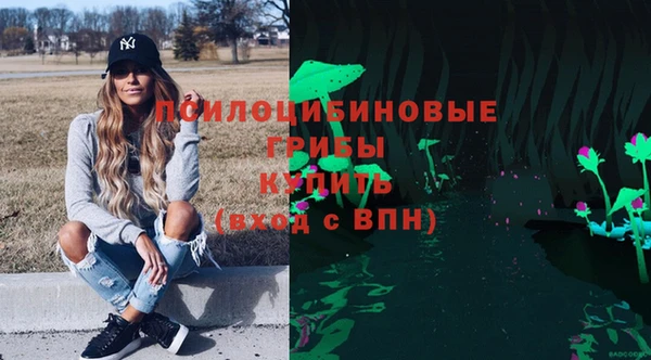 прущая мука Переславль-Залесский