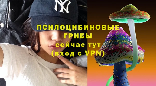 твердый Пестово