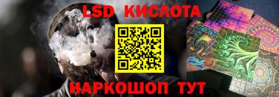 прущие грибы Азнакаево