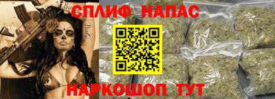 прущие грибы Азнакаево