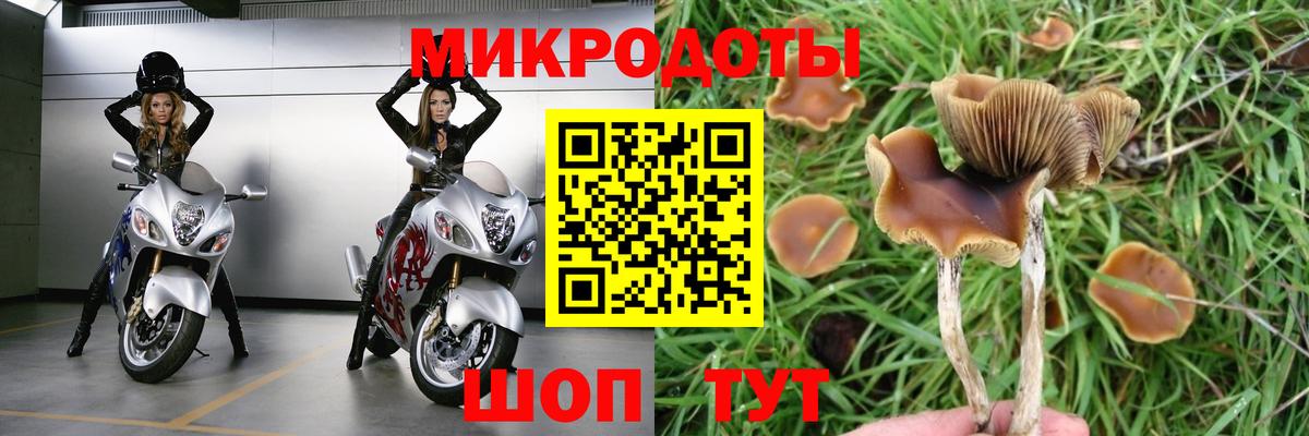 Псилоцибиновые грибы Magic Shrooms Ливны